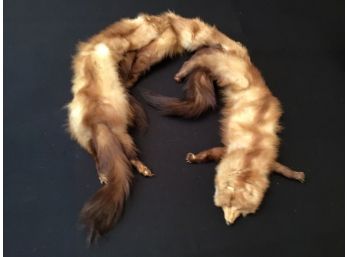 Vintage Mink Stole 3 Minks 54 Inches Long