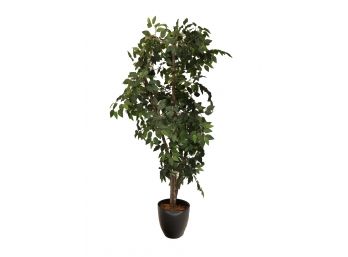 Faux Potted Ficus Tree