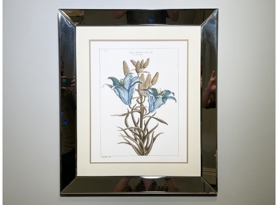 A Vintage Framed Botanical Print In Mirrored Frame