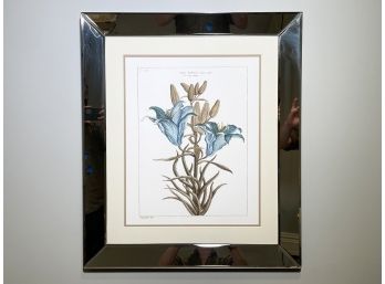 A Vintage Framed Botanical Print In Mirrored Frame