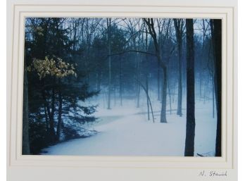 11' X 14' Double Matted & Signed Photograph (Nancy Stanich) -WINTER MIST