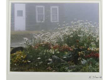 11' X 14' Double Matted & Signed Photograph (Nancy Stanich) -DAISES IN THE FOG