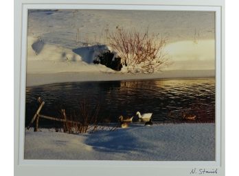 11' X 14' Matted & Signed Photograph (Nancy Stanich) - WINTER GEESE