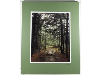 16' X 20' Matted & Signed Photograph (Nancy Stanich) - CATHEDRAL WOODS PATH