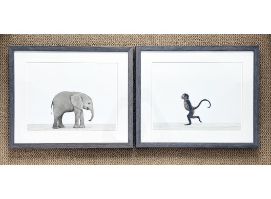 A Pair Of Framed Prints From The 'Baby And Child' Line By Restoration Hardware