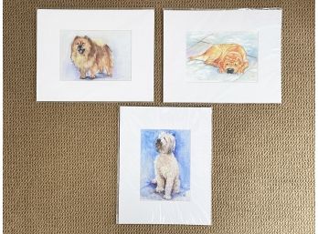 A Trio Of Unframed Watercolor Print By Jackie Garrick