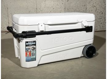 A Large Igloo Cooler (1 Of 2)
