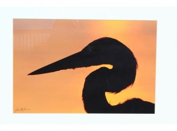 Wildlife Photography Heron In Golden Light  - Signed