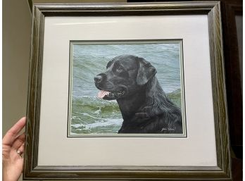 'Of The Finest Breed: Black Labrador' Lithograph By John Weiss (American, 20th Century)