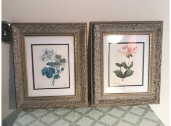 Pair Of Botanical Prints In Carved Antique Frames