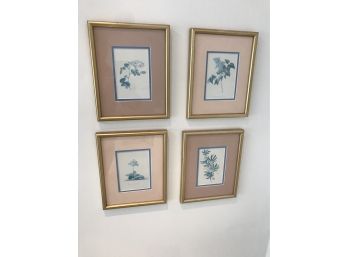Four (4) Frames Botanical Prints