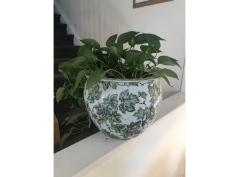 Large Ceramic Planter _ With Plant Included
