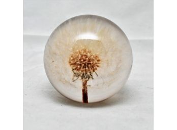 The Original Collection Dandelion Paperweight