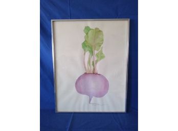 Original Watercolor Painting Of A Radish Signed Illegibly Dated 1977