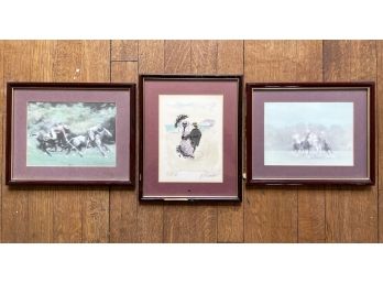 A Pair Of Equestrian Photographs And A Framed Watercolor