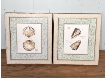 A Pair- Framed  And Signed Imperial Cone Shell And Macassar Scallop Giclees  FL