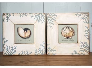 A Pair Of Framed Nautilus Pompilious Shell And Macassar Scallop Giclees  FL