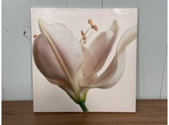 Pretty In Pink Floral Botanical Art On Canvas FL
