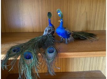 Stunning Large Peacock Ornaments Pair