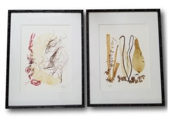 Paid $1,600, Unique Seaweed Art - Signed By The Artist - 23' By 18' In Bamboo Style Frame