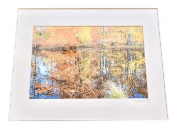 Framed Signed Sanford Zevon Original Artwork 'Autumn Splendor'