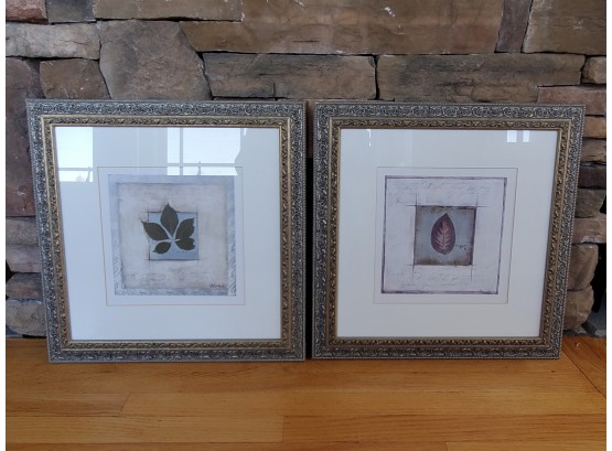 Pair Of Decorative Framed Botanical Prints