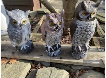 3 Owl Decoys