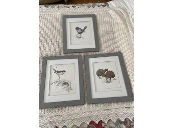 Trio Of Beautiful Framed Signed Bird Prints ~ Air New Zealand ~ Bruce Harvey