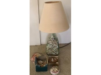 Shells And 19' Shell Lamp