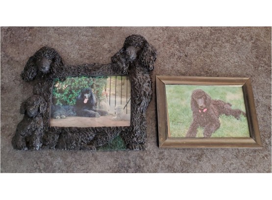 Poodle Lovers Rejoice!  Photo Frame With 3 Poodles And A Framed Photo Of Another Poodle