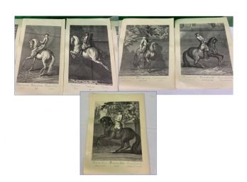 Five Vintage Horse Lithograph Prints