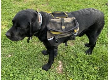 MountainSmith Dog Pack 2