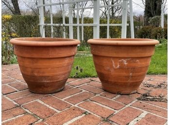 A Pair Of Large Terra Cotta Planters