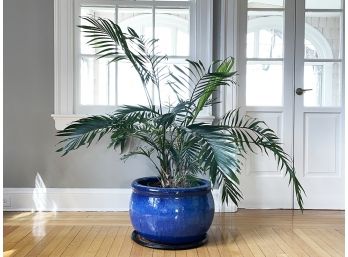 A Large Potted Palm Tree In Glazed Earthenware Planter