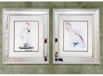 A Pair Of Vintage Ornithological Prints In Mirrored Frames