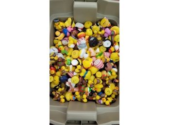 Over 200 Loose Ducks Lot 1