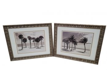 Beautifully Framed Black And White Palm Tree Prints