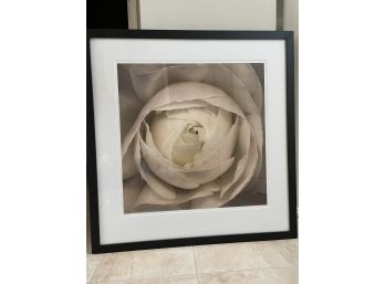 Large Floral Frame Cannot Read Signature 2005 102/1000   43x44