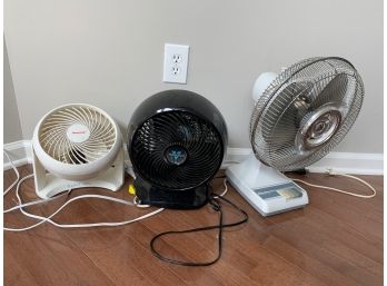 Lot Of 3 Fans Vornado, Honeywell And Windmere Varied Heights 19' To 10'