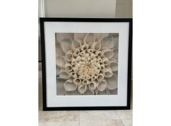 Large Floral Frame Cannot Read Signature 2005 102/1000   43x44