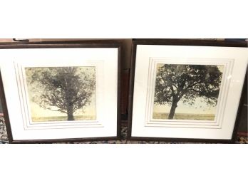 Pair Of Framed Photography Prints