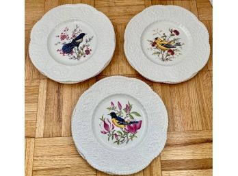 7 Royal Cauldon Bird Pattern Plates