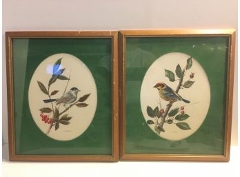 Pair Of Framed Bird Prints By  A. Marlin