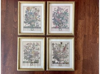 Four Small Framed Replica Month Botanical Prints