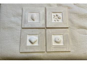 Four Framed Plaster Shell Form Reliefs