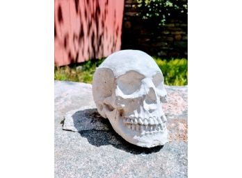 Clay Skeleton Head