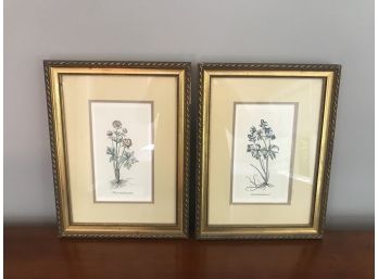 Botanical Wood Framed Prints - Double Mats, 13.5'H X 10'W  Geranium, Ranunculus