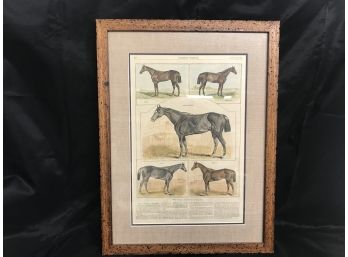 Framed 1881 Harper's Weekly Article 'Some American Racers' Horses Henry Stull