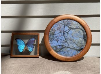 Custom Framed Butterfly & A Wood Framed Circular Mirror