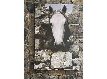 Horse Photo On Canvas